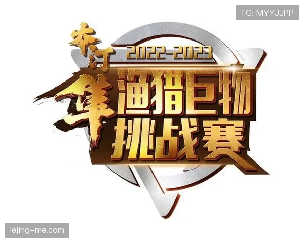 挑战判罚规则的流程与适用范围详解
